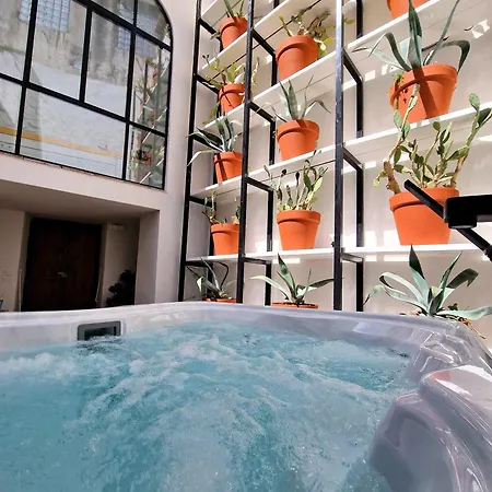 Capri Kronos Design - 2 King Beds, With Gym, & Jacuzzi